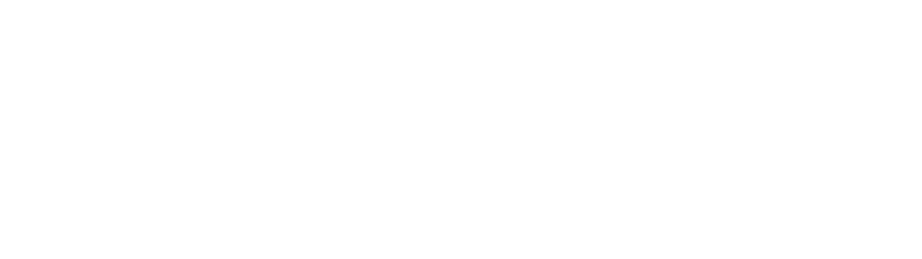 PMS Schneider GmbH PMS Logo 2025Lo o claim White1